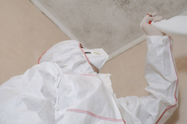 Best Mold Remediation for Rental Properties  in Westview, FL